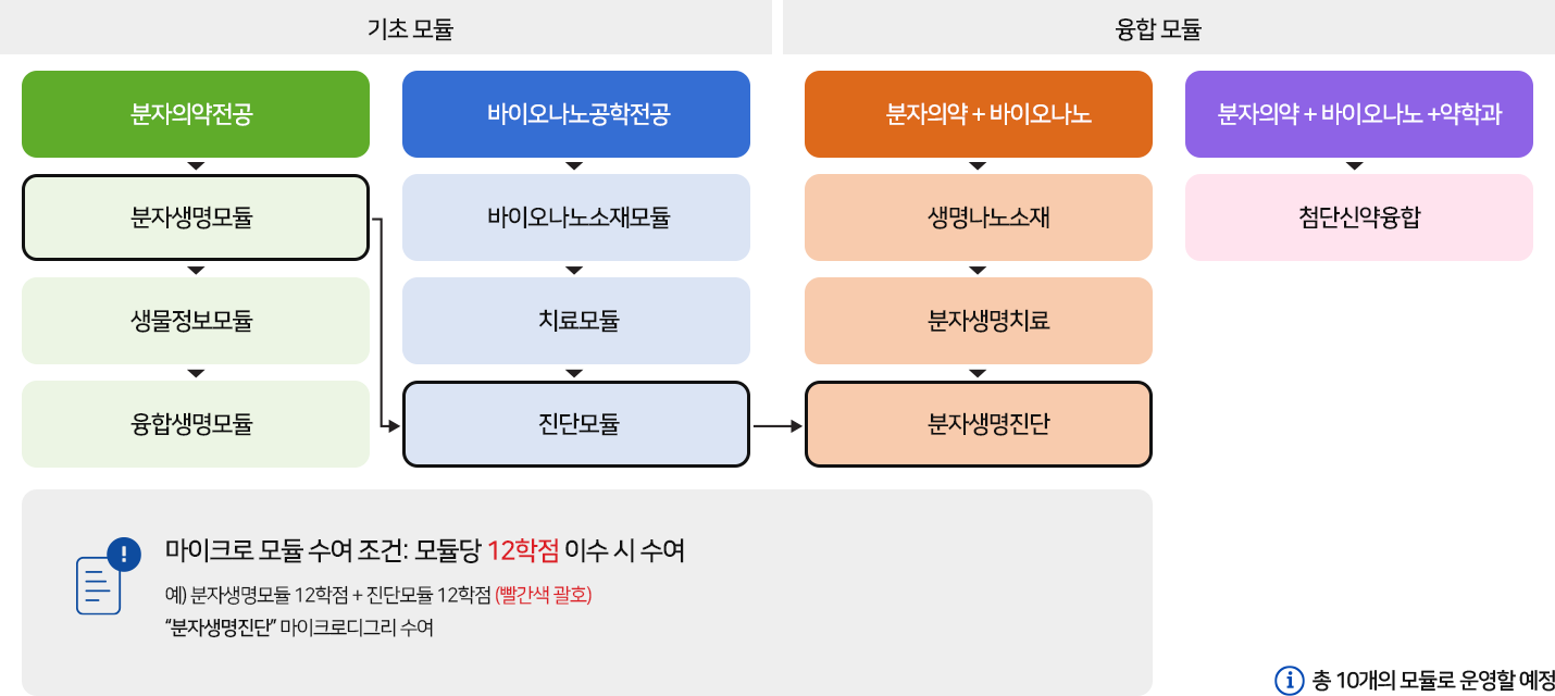 바이오신약융합학부_마이크로_융합전공_모듈