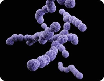 연구실_소개-분자의약전공-4