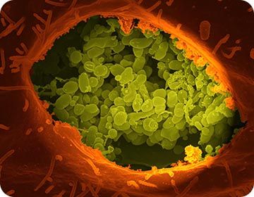 연구실_소개-분자의약전공-5