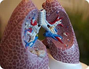 분자의약연구실-bg