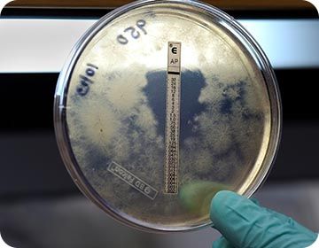 연구실_소개-분자의약전공-6