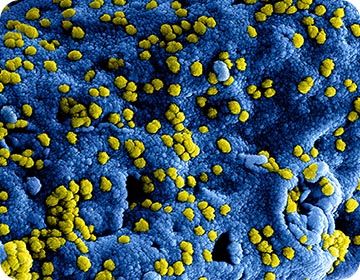 연구실_소개-분자의약전공-7