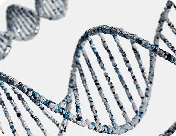 연구실_소개-바이오나노공학전공-7